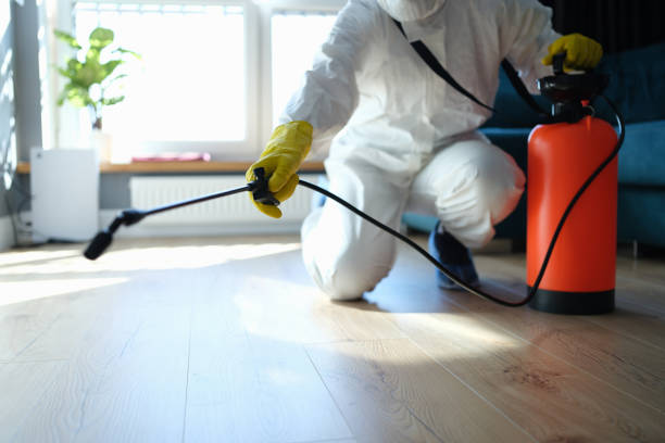 Reliable Odor Removal contractor in North Bloomfield, OH by Trauma Clean Pros